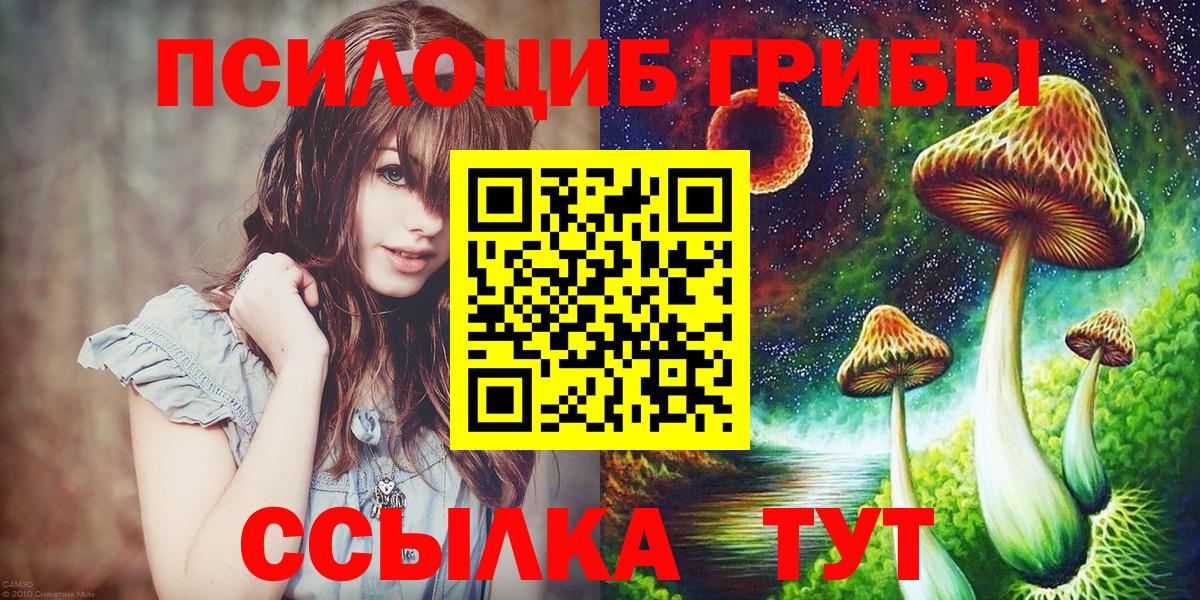 Галлюциногенные грибы Psilocybine cubensis Лесосибирск