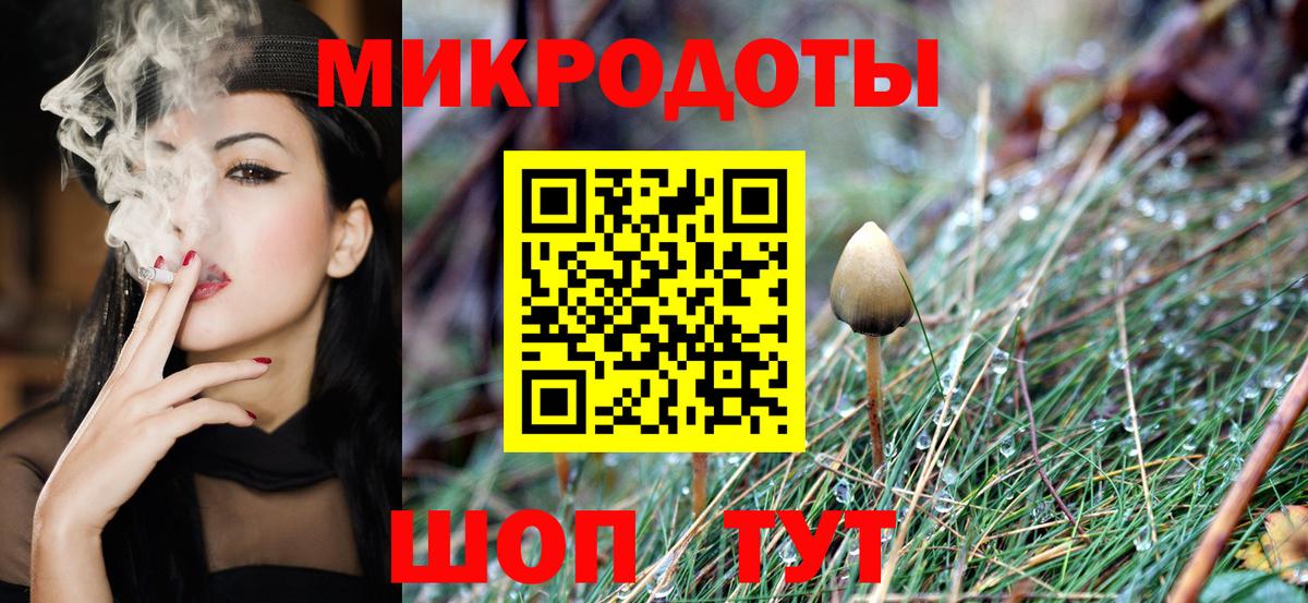 Псилоцибиновые грибы GOLDEN TEACHER  Вход с VPN  Псилоцибиновые грибы GOLDEN TEACHER  Лесосибирск 